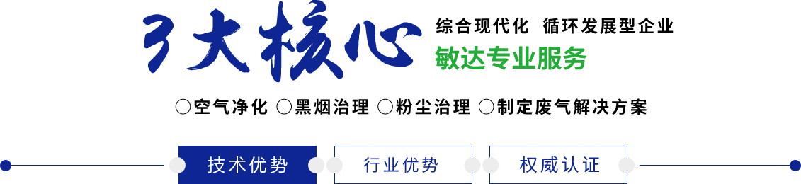 插入肉棒内射视频敏达环保科技（嘉兴）有限公司